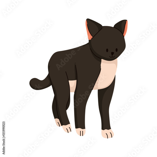 Black And White Walking Cat