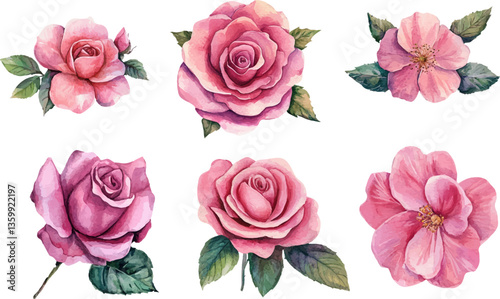 watercolor pink rose flower bouquet for valentines day