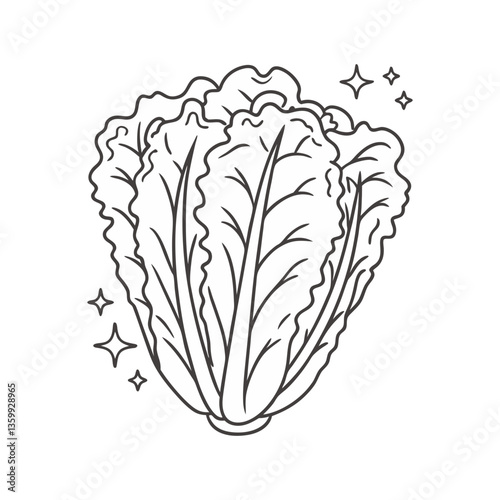 Outlined vector of Napa cabbage with sparkle accents, ideal for Asian cuisine, healthy eating, and organic food-themed design projects.