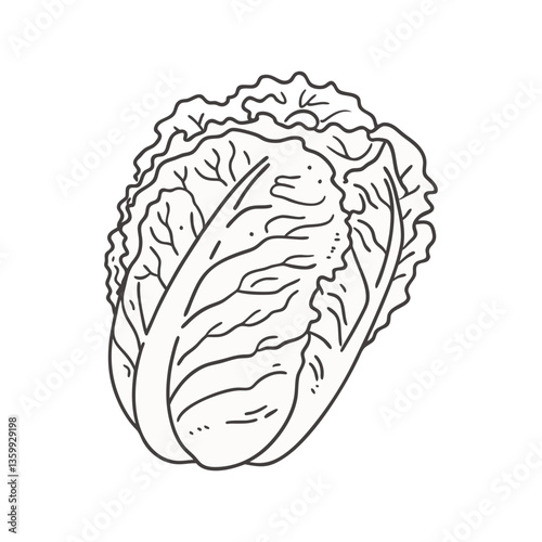Outlined vector of a Napa cabbage head with detailed leaf textures, ideal for organic food, vegetarian recipes, and healthy lifestyle designs.