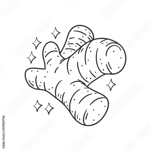 Outlined vector of a ginger root with sparkle accents, ideal for spice, herbal medicine, and organic food-themed design projects.