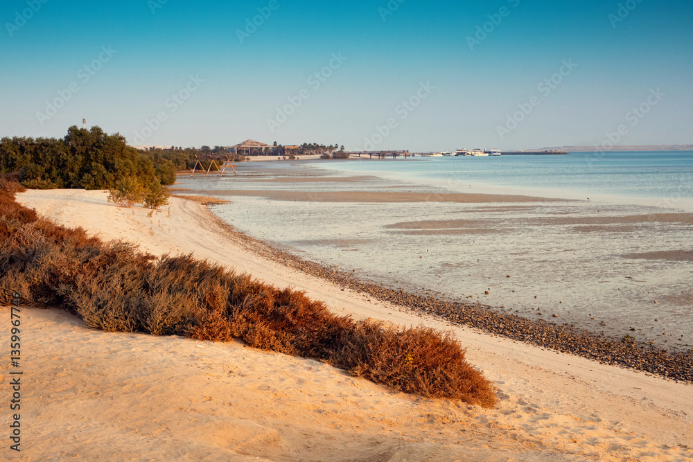 Beautiful landscape of the sea coast with mangrove trees growing on a sandy beach, creating a serene and natural environment