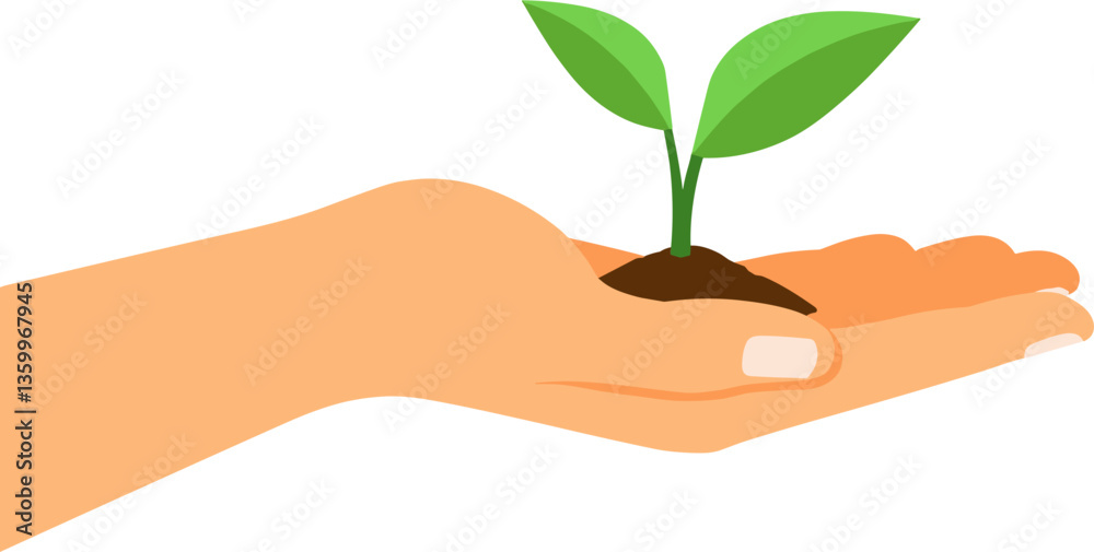 Green plant sprouting in hand with soil on white background Green plant sprouting in hand with soil on white background