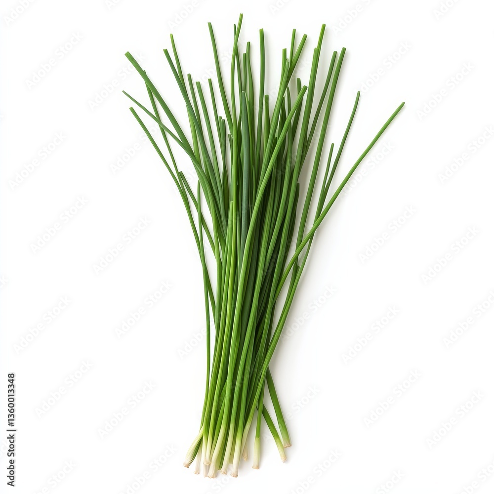 Fresh Green Chives: A vibrant bunch of culinary herbs on a white surface ready to add flavor to your cooking creations. Fresh Green Chives: A vibrant bunch of culinary herbs on a white surface ready to add flavor to your cooking creations.