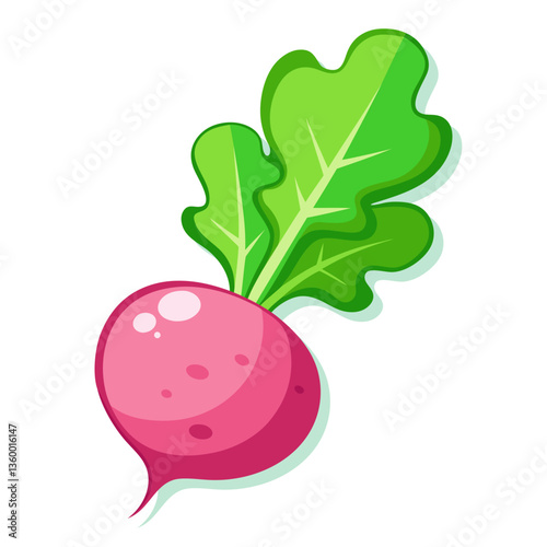Fresh ripe pink radish isolated on white background. Cartoon style. Vector illustration.
