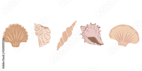 Seashells beige set, hand drawn seashells of different shapes. Underwater elements for designs, invitations, cards