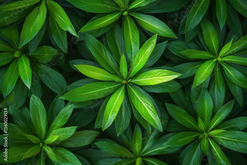 Green leaves wallpapers against a white background.