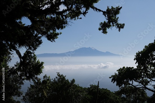 Obraz na płótnie Kilimanjaro above the clouds on horizon framed by tree branches during the Mount Meru trek. Arusha National Park, Tanzania w salonie
