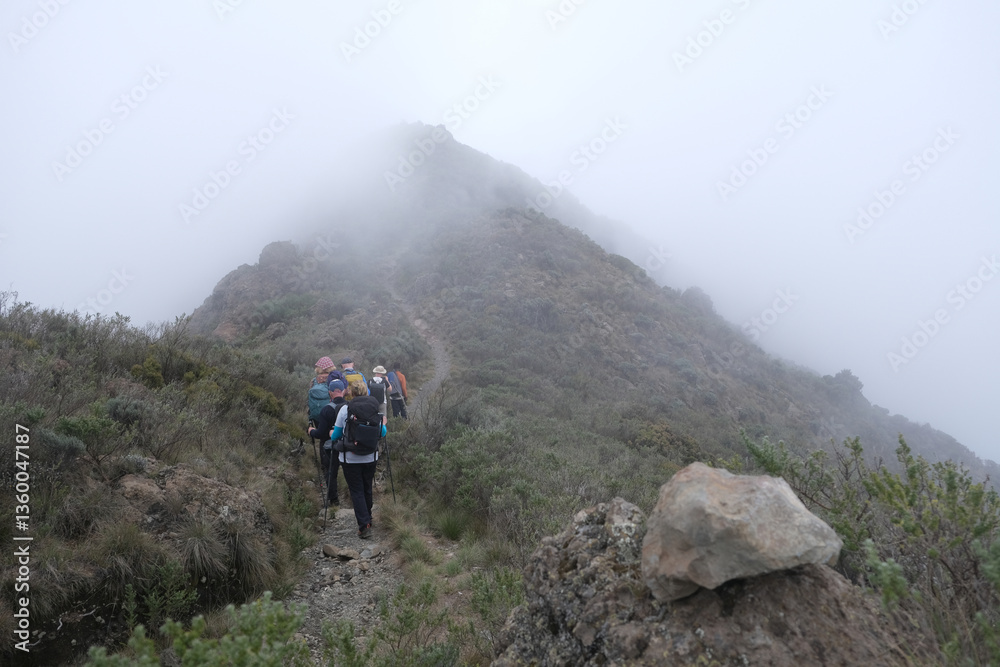Group of trekking people in mountains on foggy day to summit of Little Meru in Tanzania. National Park Arusha