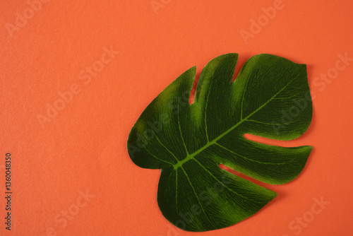 An orange wall is decorated with a green floral leaf