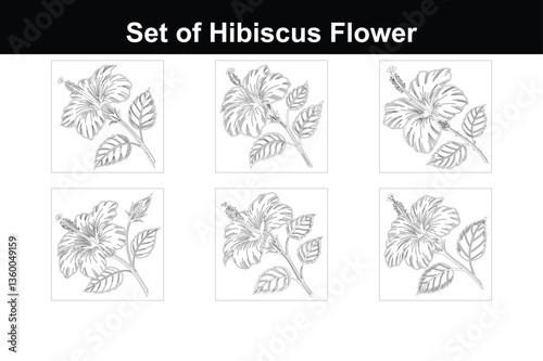 Monochrome Hibiscus Flower with Fine Line Art