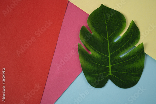 Blue, pink, yellow and red paint on the wall decorated with a green floral leaf