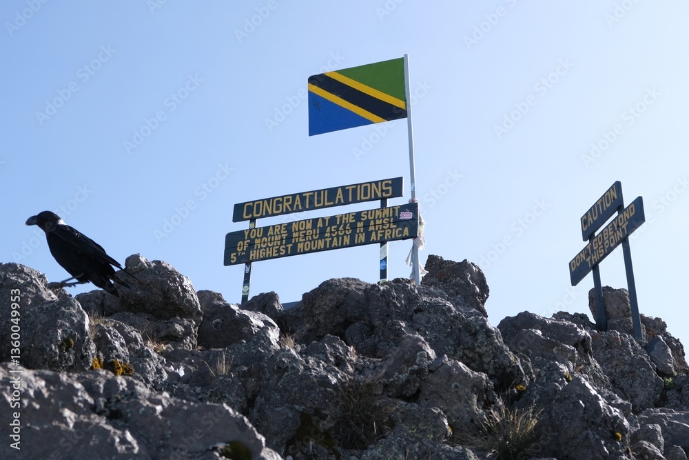 Top of Mount Meru with board information and flag ans sitting Corvus albicollis (Large-billed raven) , a volcano in Tanzania. Arusha National Park