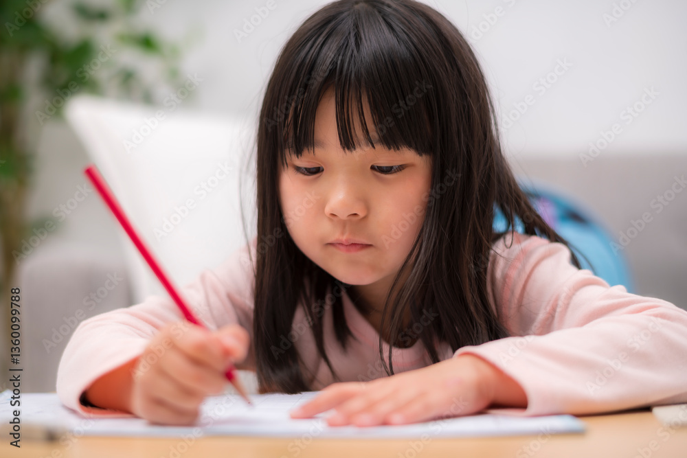 宿題に取り組む子どもの学習風景 宿題に取り組む子どもの学習風景