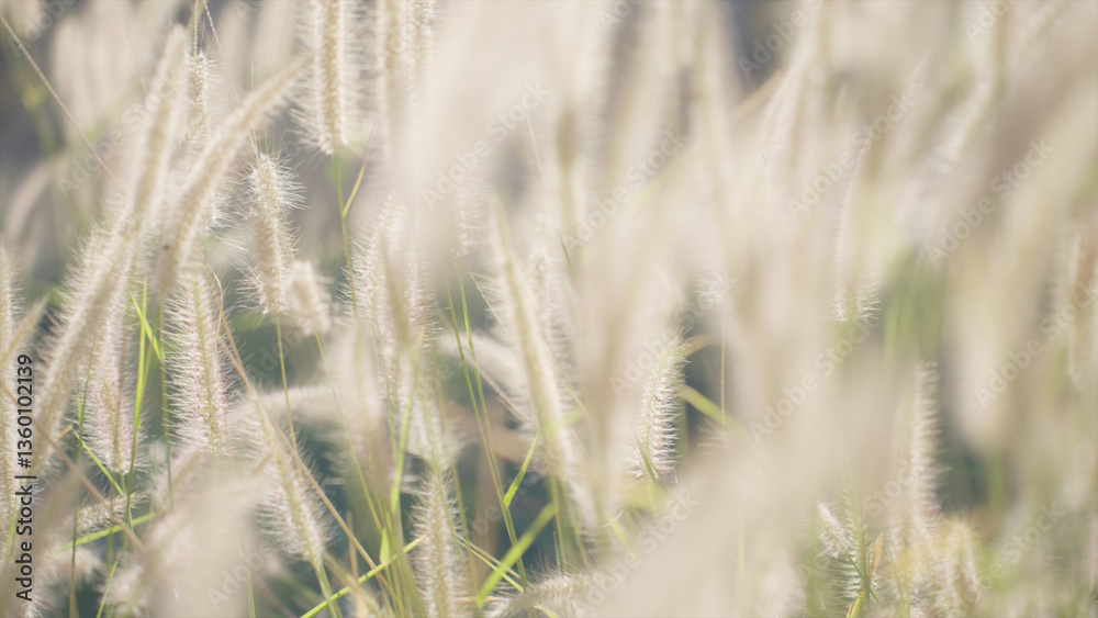 Serene Meadow of Swaying Wild Grass and Flowers