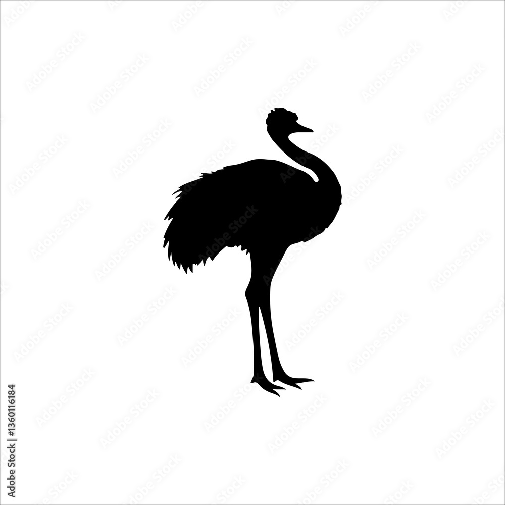ostrich silhouette icon vector flat design. ostrich silhouette icon vector flat design.