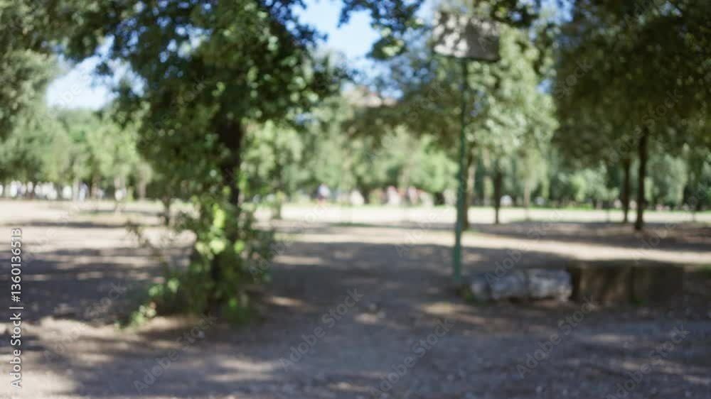 Blurred view of villa borghese gardens in rome with defocused trees, illustrating a serene outdoor bokeh scene on a sunny day. Blurred view of villa borghese gardens in rome with defocused trees, illustrating a serene outdoor bokeh scene on a sunny day.