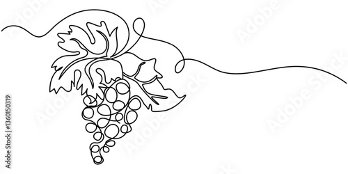 Continuous Line Drawing Of Grapes On A Transparent background, Grape drawn in one continuous line. One line drawing, minimalism. Vector illustration, bunch of grapes on a vine line art drawing, Single