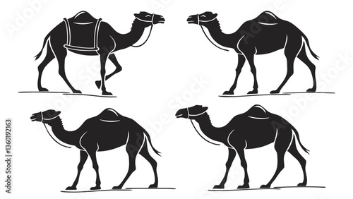 Photography Set of camel