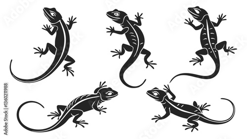 Set of lizard