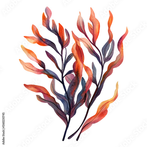 Watercolor illustration of seaweed png. Branches and leaves combine shades of dark blue, purple, burgundy, orange and red. Concept of marine and ocean plants.