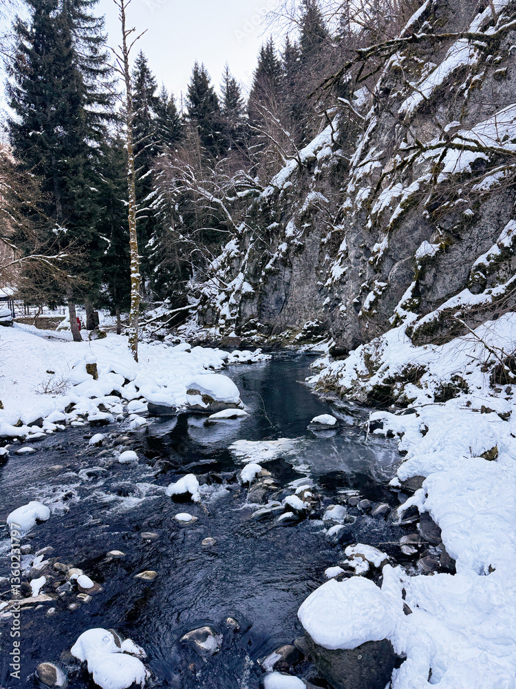 Snowy River Flowing Through a Winter Forest