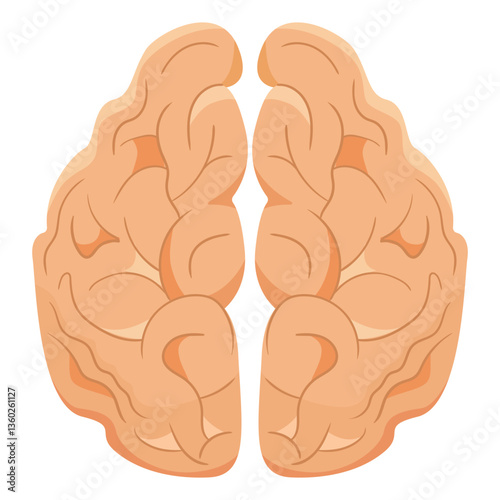 Brain set icon. Symmetrical pink brain illustration symbolizes intelligence, neuroscience, cognition, mental focus, human mind, analytical thinking.