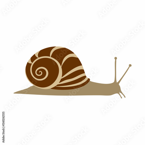 Stylized Snail Illustration Vector Graphic. vector image