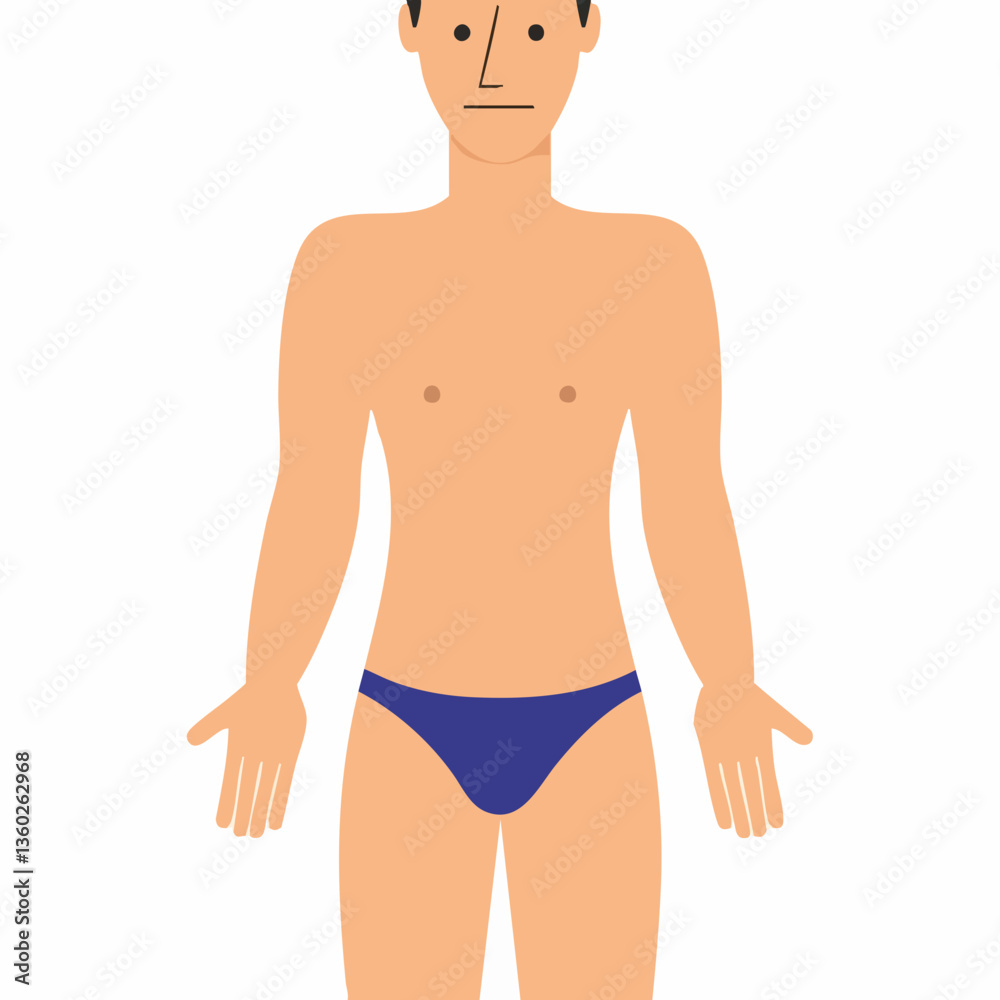 Male torso illustration simple design. vector image Male torso illustration simple design. vector image