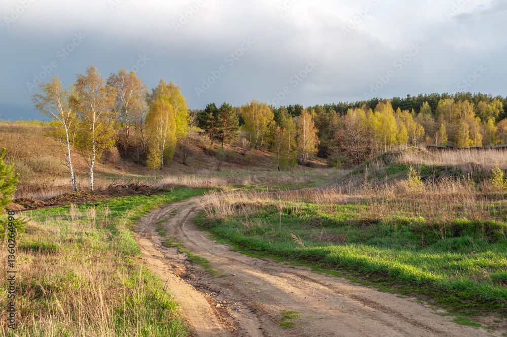 Naklejka premium Beautiful country landscape in spring, dirt road, sunset, dramatic sky
