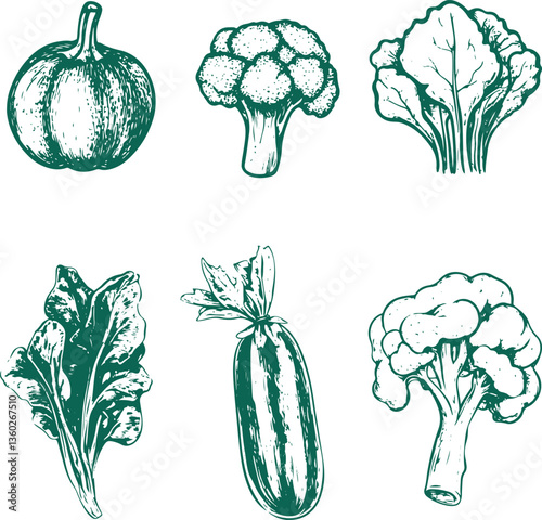 set of sketch vegetables