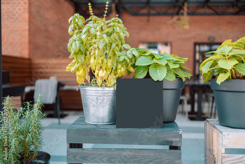 Obraz na płótnie A cozy cafe with potted plants arranged on a wooden table. The table features a blank black slate, perfect for menu writing or personal messages, creating an inviting atmosphere w salonie