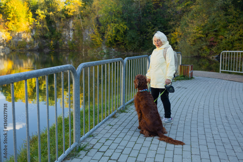 Senior 60s woman crossbreed looking out over a lake with her best friend irish setter dog wear casual clothes in the autumn forest.