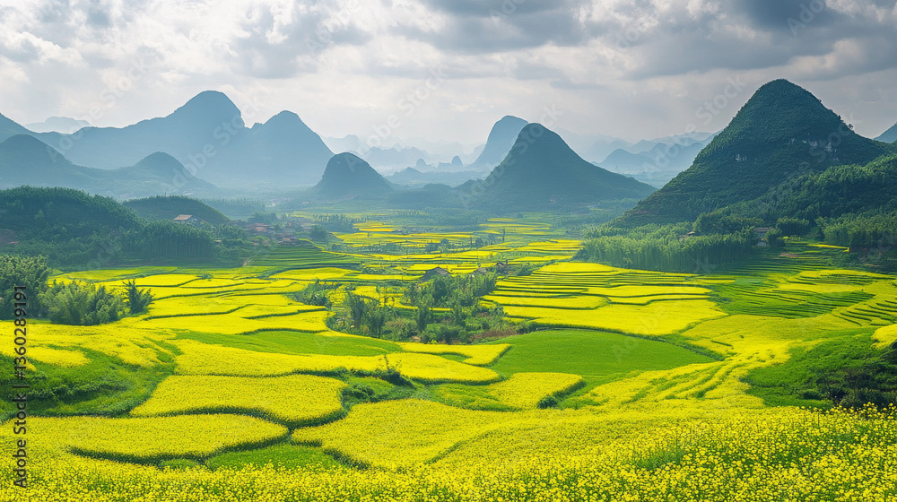A breathtaking view of a vast rapeseed flower field in full bloom at Luoping County, Yunnan, China