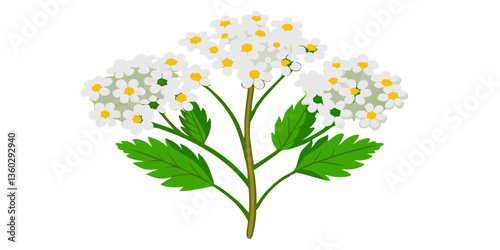 Bouquet of flowers isolated on transparent background , flower, isolated, plant, white, leaf, green, nature, blossom, pink, spring, floral, flowers, yellow, bloom, petal, stem, wild, beautiful, flora,