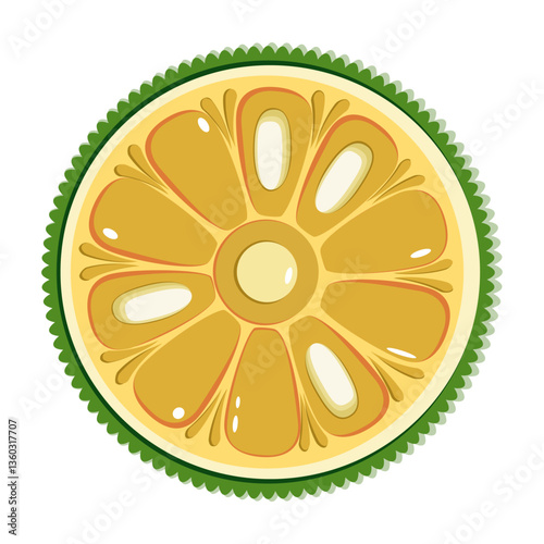 Jackfruit slice botanical vector illustration in flat technique 