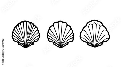 Stylized seashell illustrations for marine decor and coastal themes
