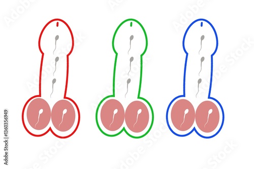 three different size penises