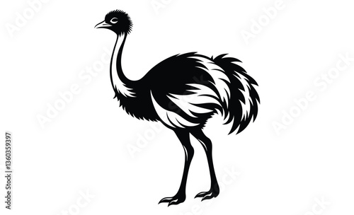 Ostrich emu bird silhouette, Emu silhouette vector, ostrich emu bird vector illustration