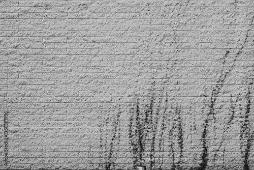 urban brick wall background with vines