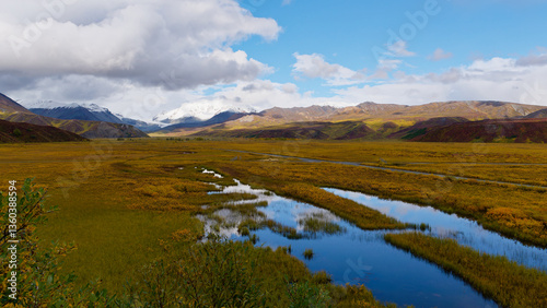 Scenic view of a landscape along the Richardson Highway connecting Valdez and Fairbanks in Alaska, USA