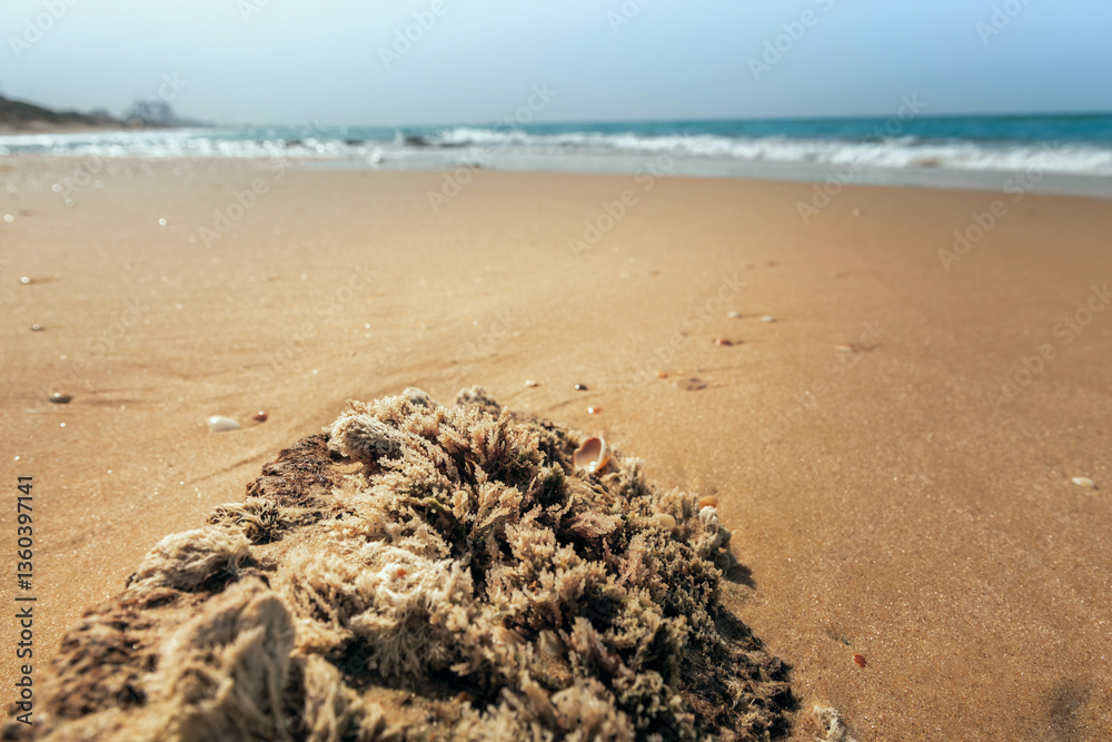 Obraz premium A beautiful sea beach, photographed from a low angle