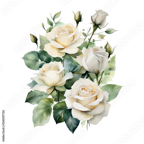 Watercolor bouquet white roses flowers, symbol of love, wedding, purity, vector illustration.