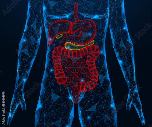 The human gastrointestinal tract. Polygonal design of interconnected elements. Dark blue background.