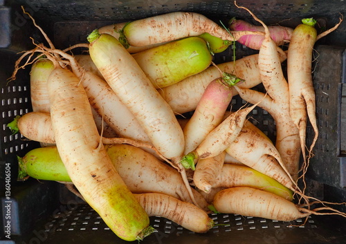 Basket Fresh Dirty Daikon Radishes Top View Natural Colors