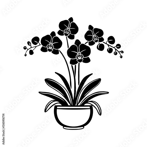 Black Phalaenopsis orchid flowers in a pot, silhouette style, on white background. Concept of elegance and simplicity