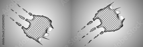 Claws scratches on transparent background	