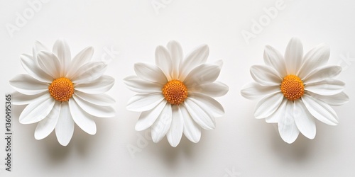 Flores blancas en fondo blanco