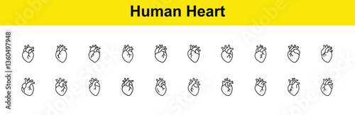 Human Heart Anatomy Multiple Line Art Icons Illustrations