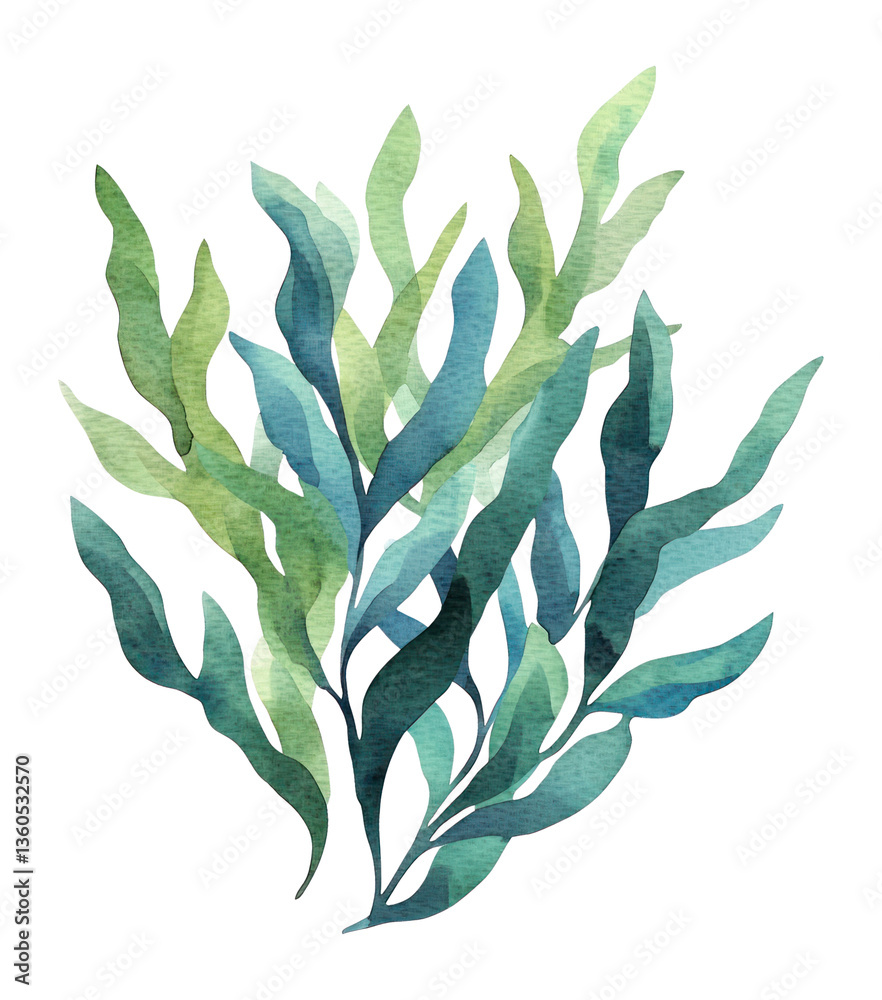 Naklejka premium PNG Watercolor seaweed illustration plant art.